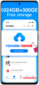 terabox link video downloader online 